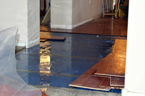 Professional Burst Pipe Cleanup technician working in Erving, MA